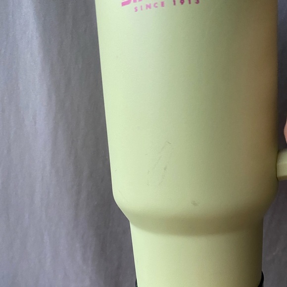 Neon Green and Fuchsia Pink Stanley Cup with Cactus Boot - Picture 10 of 14